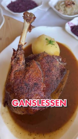 gansl